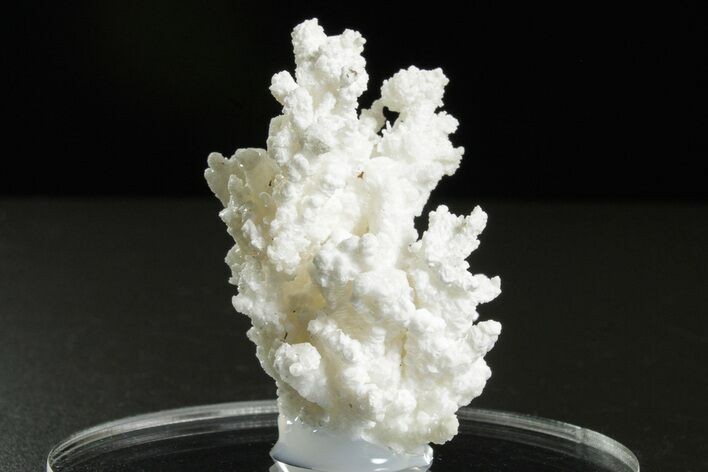 Intricate, Fluorescent Aragonite Formation - Nevada #350273